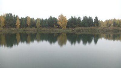 На Житомирщині люди проти розробки кар’єру доломітів На Житомирщині люди проти розробки кар’єру доломітів