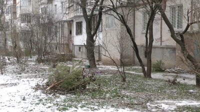 Як у Херсоні утилізовують новорічні ялинки Як у Херсоні утилізовують новорічні ялинки