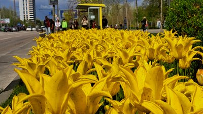 До +25° і пожежна небезпека. Якою буде погода на Дніпропетровщині у вихідні
