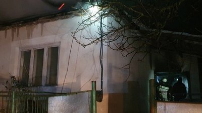 На Закарпатті пожежники винесли з палаючого будинку чотирьох цуценят На Закарпатті пожежники винесли з палаючого будинку чотирьох цуценят