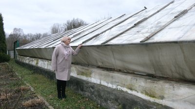 Як в умовах енергозаощадження буяють "тропіки" на Черкащині Як в умовах енергозаощадження буяють "тропіки" на Черкащині
