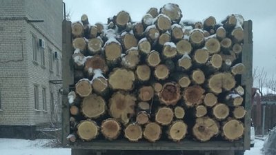 Перевозив деревину без документів: поліція Херсонщини зупинила вантажівку з 12 кубометрами акації Перевозив деревину без документів: поліція Херсонщини зупинила вантажівку з 12 кубометрами акації