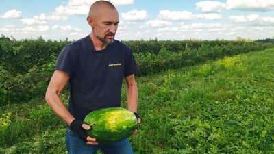 кавуни кавуни