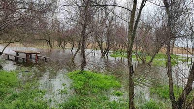 В Онуфріївській громаді на Кіровоградщині підтоплені майже 30 гектарів пасовищ В Онуфріївській громаді на Кіровоградщині підтоплені майже 30 гектарів пасовищ