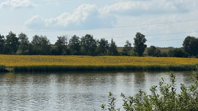 Краєвид