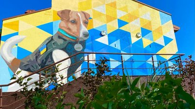 Фото: КП УЗН Солом'янського району/Facebook
