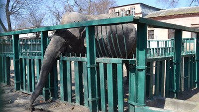 В Одесі відкрився зоопарк. ФОТО В Одесі відкрився зоопарк. ФОТО
