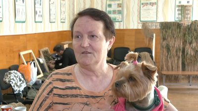 В одній із черкаських шкіл облаштували кімнату для переселенців із тваринами