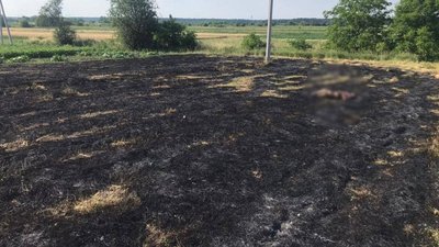 Біля Львова загинула 76-річна жінка через спалювання трави