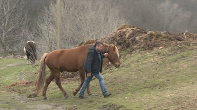 Щоб відродити село: у селі на Черкащині у безоплатне житло переїхали переселенці Щоб відродити село: у селі на Черкащині у безоплатне житло переїхали переселенці