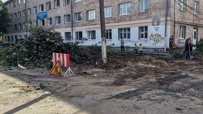 У Луцьку під час капремонту дворів зрізали 86 дерев. Що кажуть мешканці та комунальники