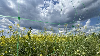 Вид на поле через антидронову сітку