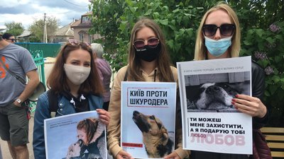 На Житомирщині зоозахисники протестували під судом, де розглядають справу про катування тварин На Житомирщині зоозахисники протестували під судом, де розглядають справу про катування тварин