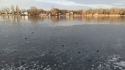 Плитка на Флотському бульварі Плитка на Флотському бульварі