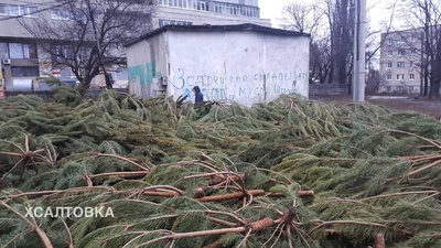 Не встигли продати: де опиняються ялинки після свят у Харкові Не встигли продати: де опиняються ялинки після свят у Харкові