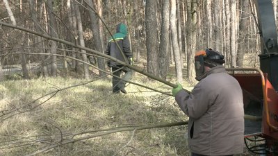 НАВОДЯТЬ ЛАД У ПАРКАХ ТА СКВЕРАХ НАВОДЯТЬ ЛАД У ПАРКАХ ТА СКВЕРАХ