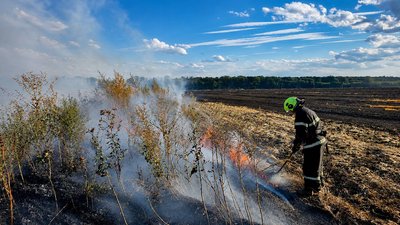Рятувальник, пожежа, суха трава, поле