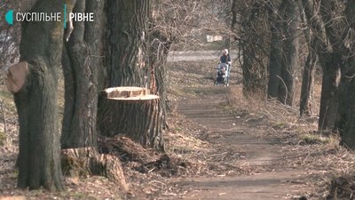 Жителі Рівного скаржаться на аварійні дерева Жителі Рівного скаржаться на аварійні дерева
