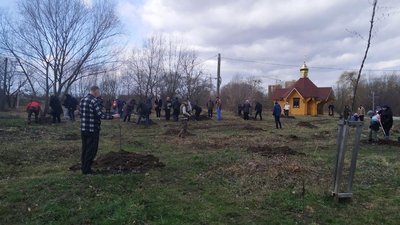 Матері загиблих атовців висадили фруктовий сад в Івано-Франківську