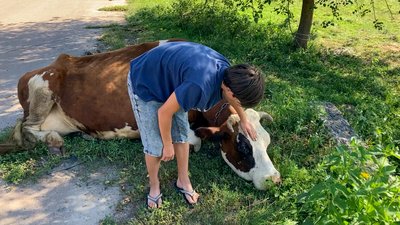 12-річний Данило 12-річний Данило