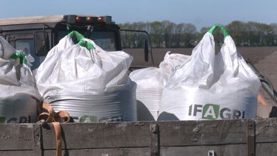 Посівна із запізненням Посівна із запізненням