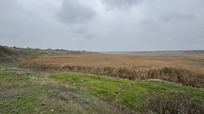 Малі річки Миколаївщини міліють: чому та куди вода зникає з русел Малі річки Миколаївщини міліють: чому та куди вода зникає з русел