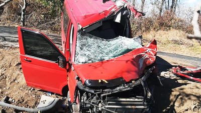 На Буковині водій в'їхав в дерево