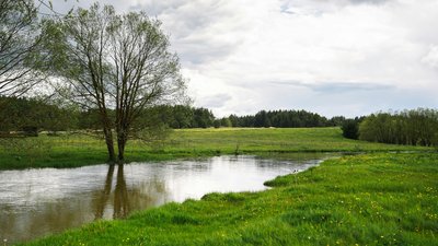 Земля, природа, річка