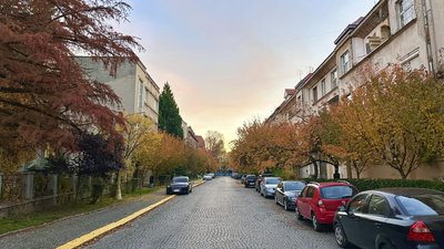 Якою буде погода на Закарпатті 4 листопада