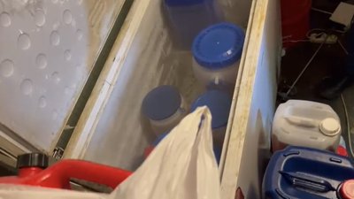 На Київщині викрили наркоугруповання і вилучили психотропи та майно на 7 млн грн На Київщині викрили наркоугруповання і вилучили психотропи та майно на 7 млн грн