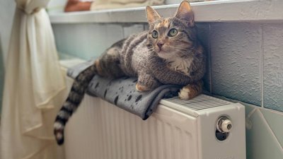 В Ужгороді від сьогодні дозволили розпочати опалювальний сезон бюджетним установам міста
