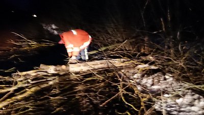На Житомирщині вітер повалив на дороги 62 дерева – їх прибирали рятувальники На Житомирщині вітер повалив на дороги 62 дерева – їх прибирали рятувальники