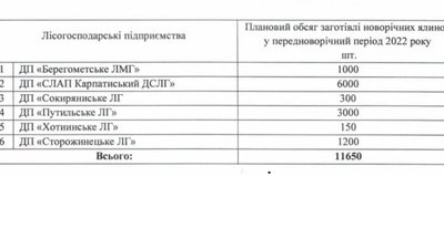 У лісгоспах Буковини до Нового року планують зрубати понад 11 тисяч ялинок
