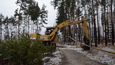 В Іршанську на газопровід впало дерево. Місцеві жителі залишилися без газу В Іршанську на газопровід впало дерево. Місцеві жителі залишилися без газу