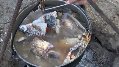На Херсонщині відбувся фестиваль рибальської юшки На Херсонщині відбувся фестиваль рибальської юшки