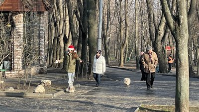 Яким Дніпро зустрічає Новий Рік – фоторепортаж