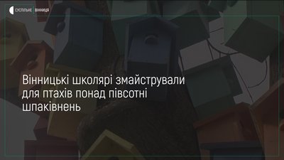 Гуртожиток для птахів облаштували на подвір'ї третьої вінницької школи