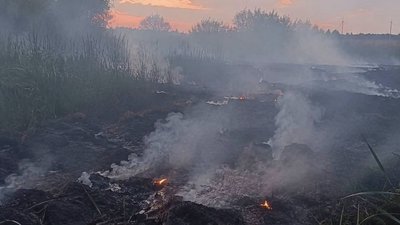 Пожежа на торфовищах