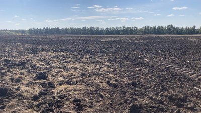 Базаліївка Базаліївка