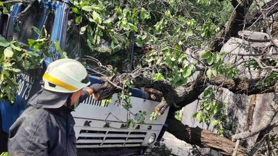 У Дніпрі дерево впало на вантажівку, коли та рухалася У Дніпрі дерево впало на вантажівку, коли та рухалася