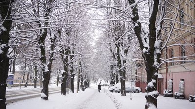 Одна з вулиць міста Чернівці