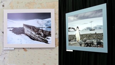 Айсберги, сніжні гори та тваринний світ: в Одесі відкрили виставку присвячену Антарктиді