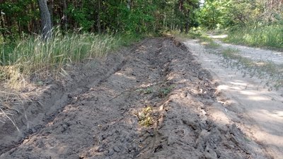 Заборона відвідування лісів: чи є вплив на кількість пожеж на Полтавщині Заборона відвідування лісів: чи є вплив на кількість пожеж на Полтавщині