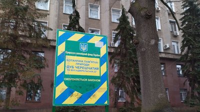 На Миколаївщині ростуть дерева віком понад 120 років На Миколаївщині ростуть дерева віком понад 120 років