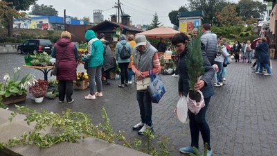 "Квіти для лицарів" – у Малині на Житомирщині на благодійному квітковому ярмарку збирали гроші для ЗСУ "Квіти для лицарів" – у Малині на Житомирщині на благодійному квітковому ярмарку збирали гроші для ЗСУ