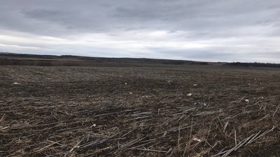 Землі природно-заповідного фонду на Тернопільщині Землі природно-заповідного фонду на Тернопільщині