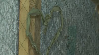 Полтавські волонтерки готують смужки тканини для сіток Полтавські волонтерки готують смужки тканини для сіток