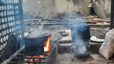 У Кропивницькому в притулку для бездомних тварин не вистачає їжі, дров та утеплювачів для будок