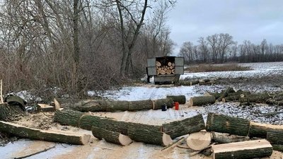 Зрізали 10 кубометрів деревини. На Дніпропетровщині викрили групу "чорних" лісорубів