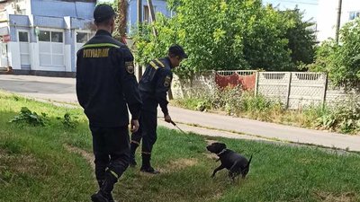 Собака протягом тижня знаходилася сама у квартирі. Фото: ГУ ДСНС України у Хмельницькій області Собака протягом тижня знаходилася сама у квартирі. Фото: ГУ ДСНС України у Хмельницькій області